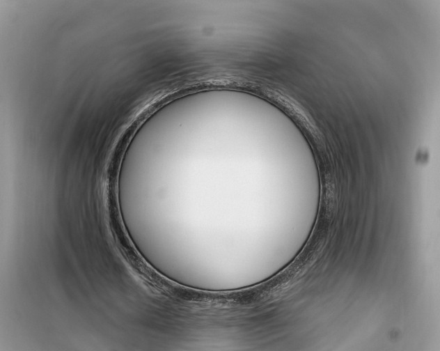 X0000102370626200808011024