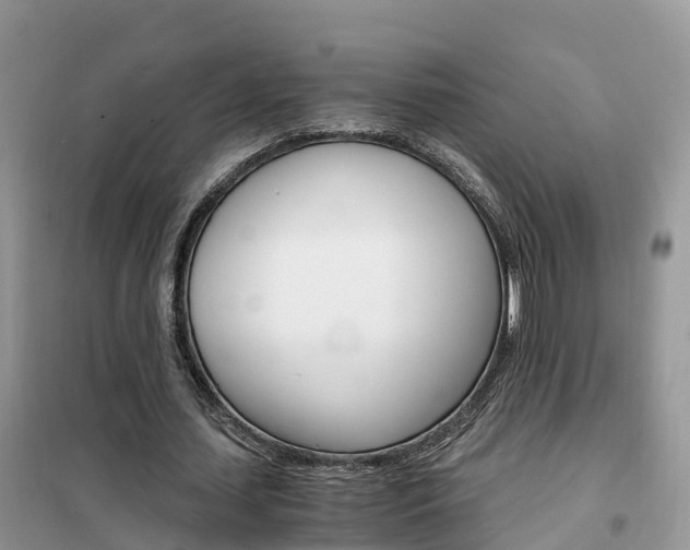 X0000102370627200808011024