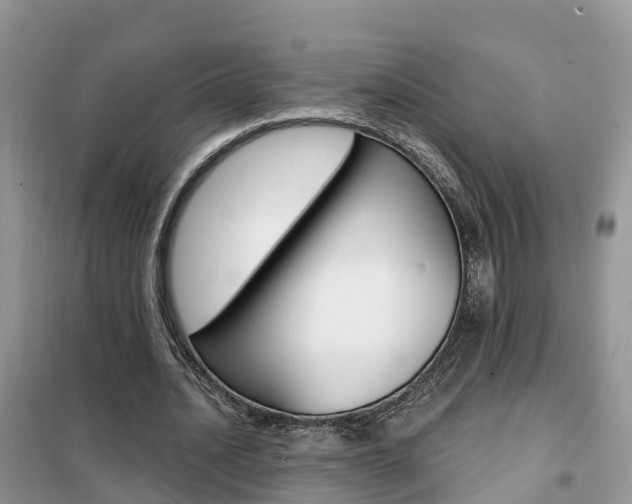X0000102370628200808011025
