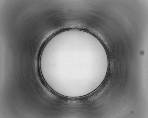 X0000102370629200808011025