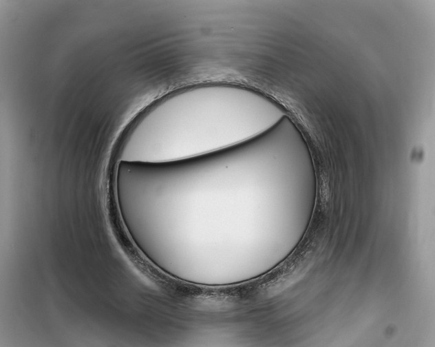 X0000102370630200808011025