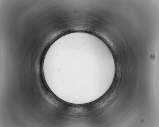 X0000102370631200808011025
