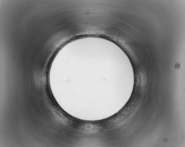 X0000102370632200808011025
