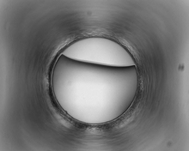 X0000102370634200808011025