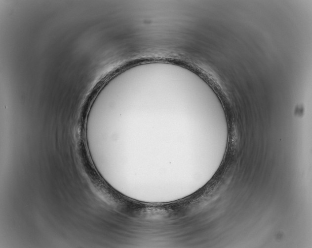 X0000102370636200808011025