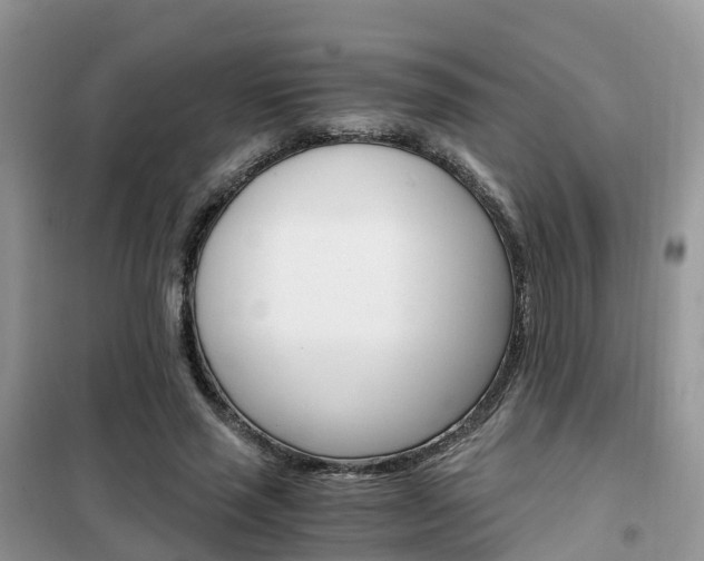 X0000102370637200808011025