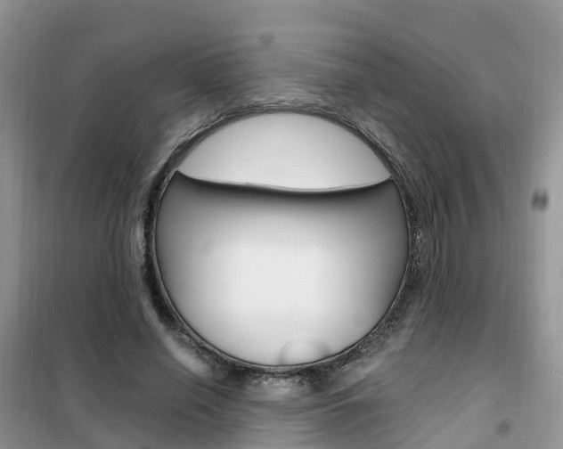 X0000102370638200808011025