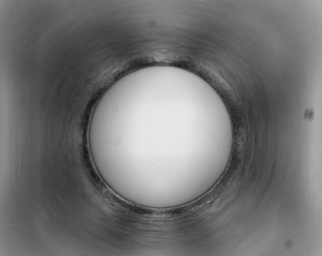 X0000102370639200808011025