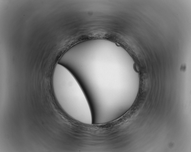 X0000102370641200808011025
