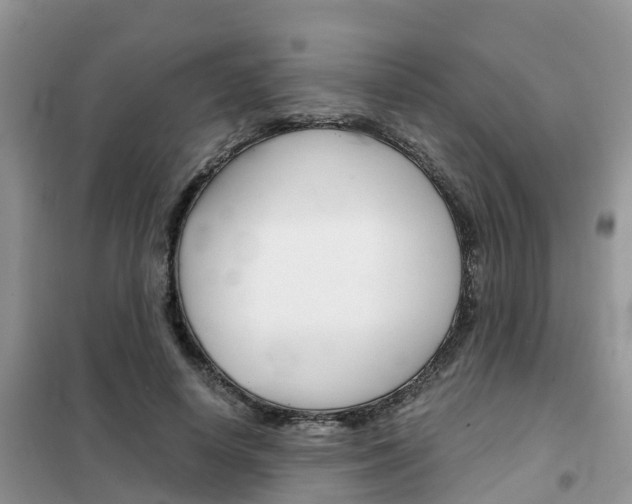 X0000102370642200808011025