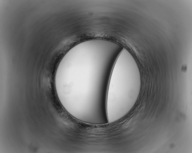 X0000102370643200808011025