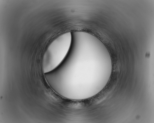 X0000102370646200808011025