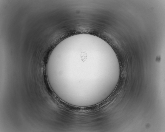 X0000102370647200808011025