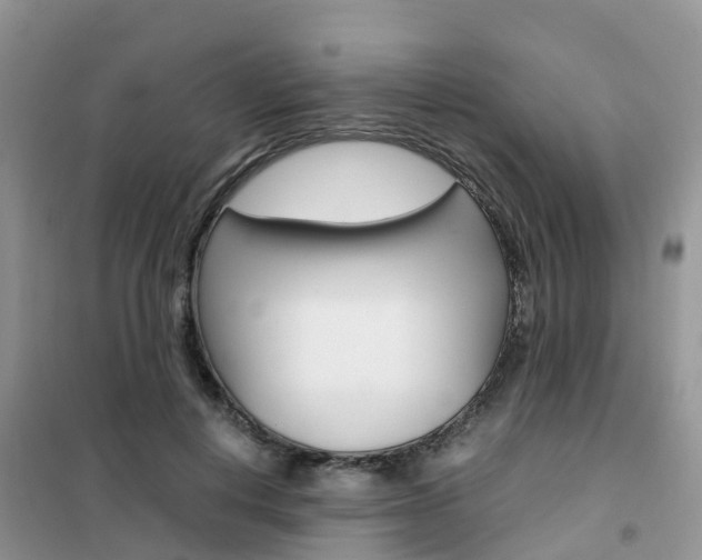 X0000102370648200808011025