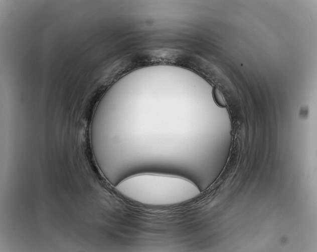 X0000102370649200808011025
