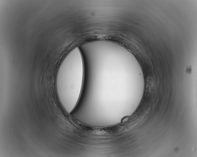 X0000102370650200808011025