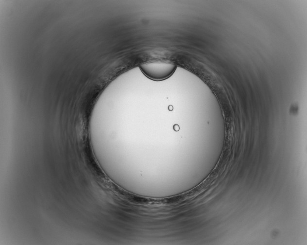 X0000102370651200808011025