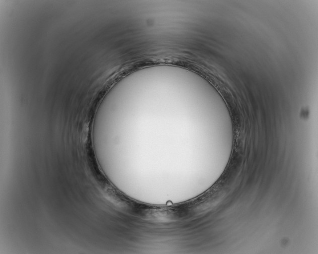 X0000102370652200808011025