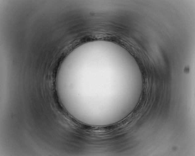 X0000102370653200808011025