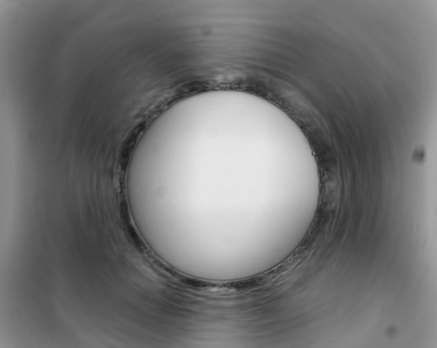X0000102370654200808011025