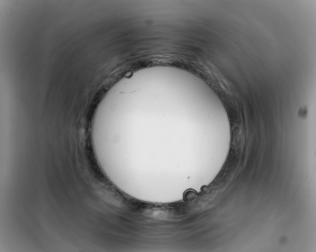X0000102370655200808011025