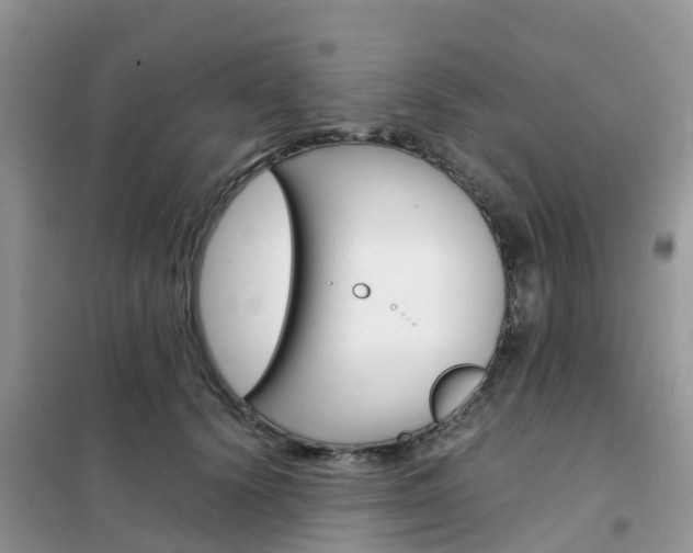 X0000102370656200808011025