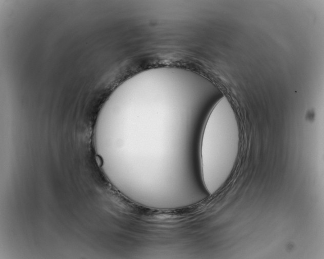 X0000102370657200808011025