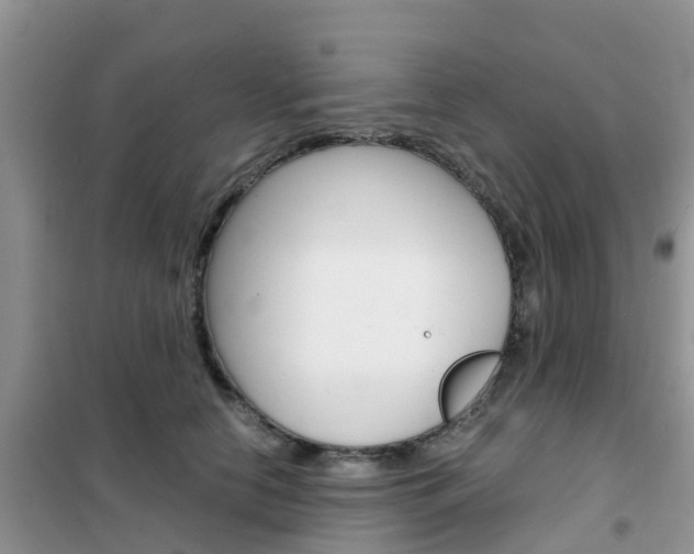 X0000102370658200808011025