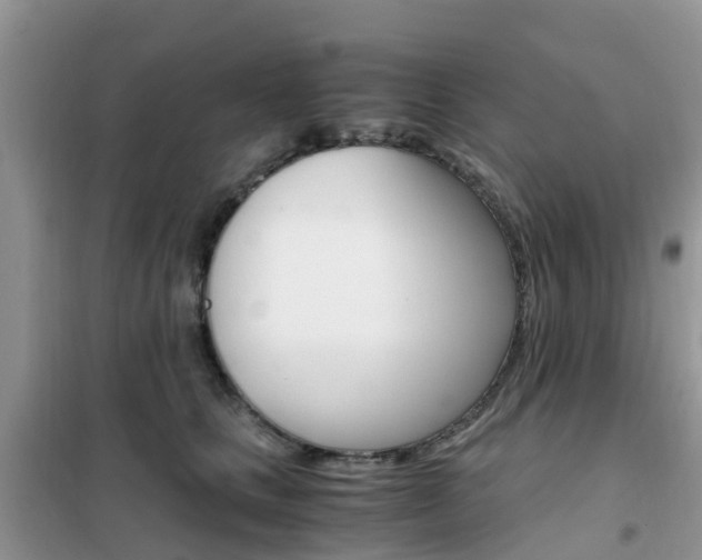 X0000102370661200808011025