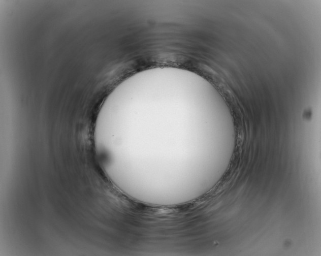 X0000102370663200808011025