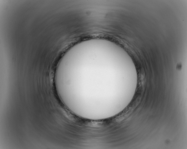 X0000102370664200808011025