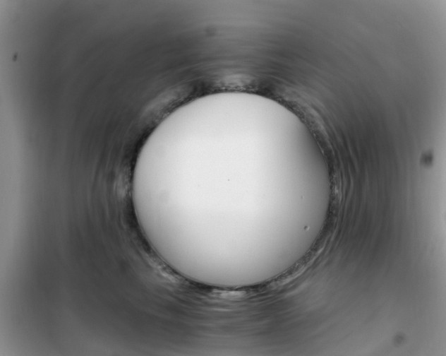 X0000102370665200808011025