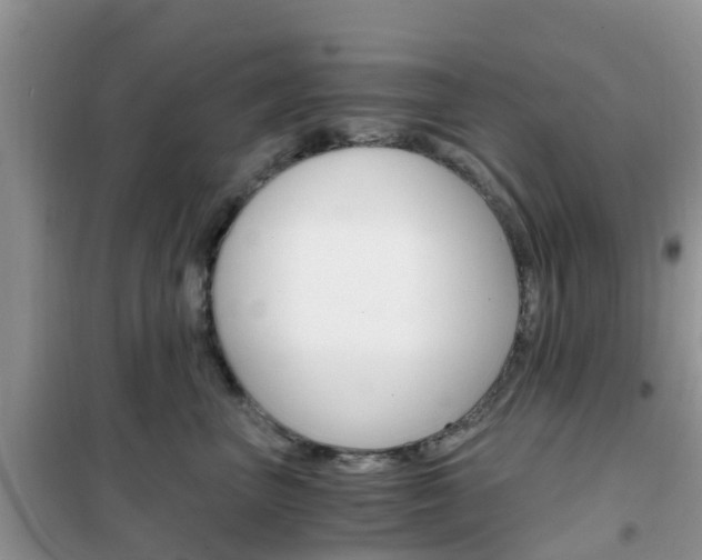 X0000102370667200808011025