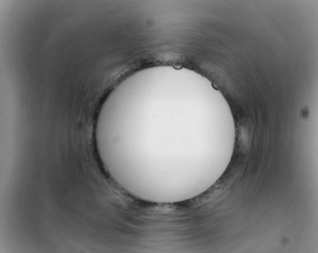 X0000102370668200808011025