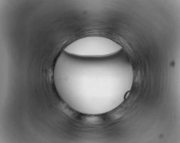 X0000102370669200808011025