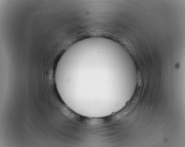 X0000102370670200808011025