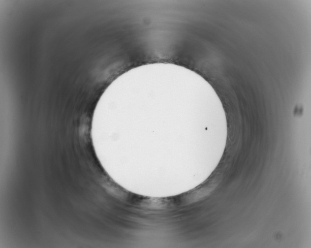 X0000102370672200808011025