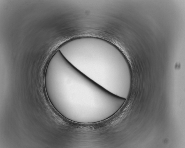 X0000102370673200808011024