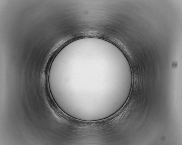 X0000102370674200808011024