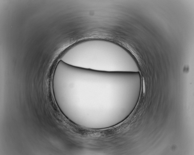 X0000102370675200808011024