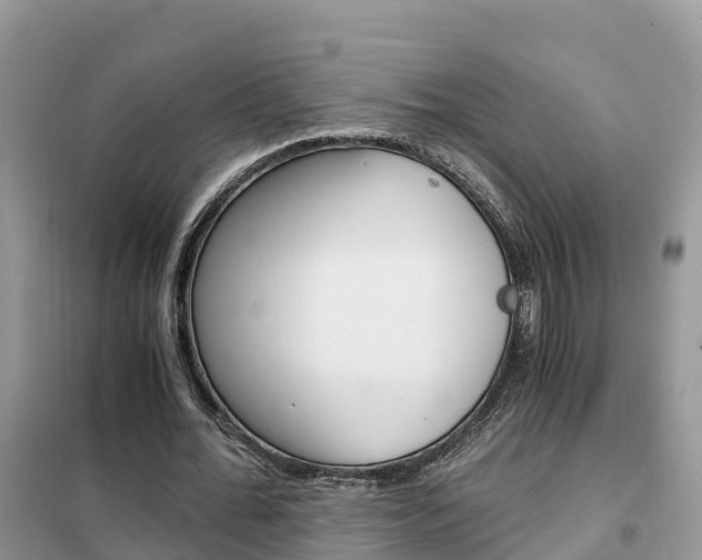X0000102370676200808011024