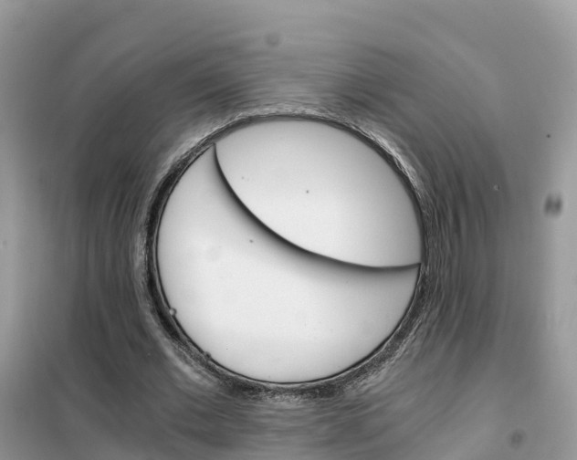 X0000102370677200808011024