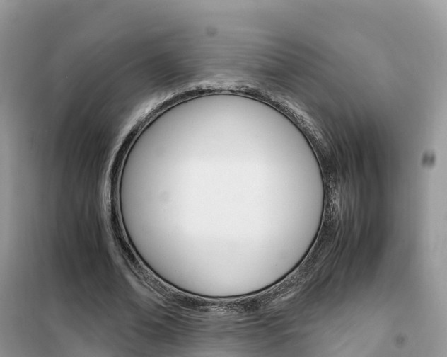 X0000102370678200808011024