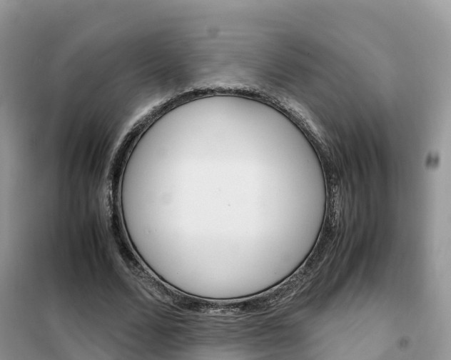 X0000102370680200808011024