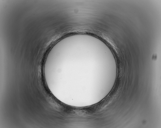X0000102370681200808011024