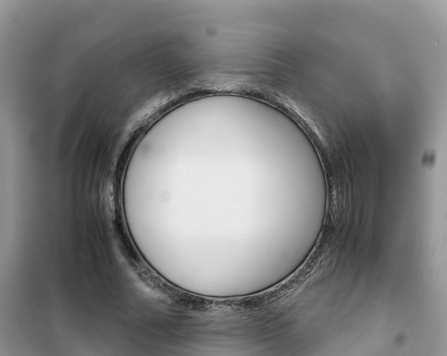 X0000102370682200808011024