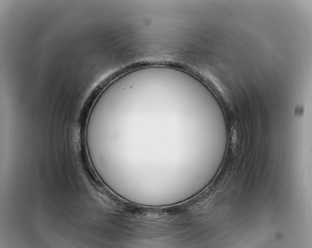 X0000102370684200808011024