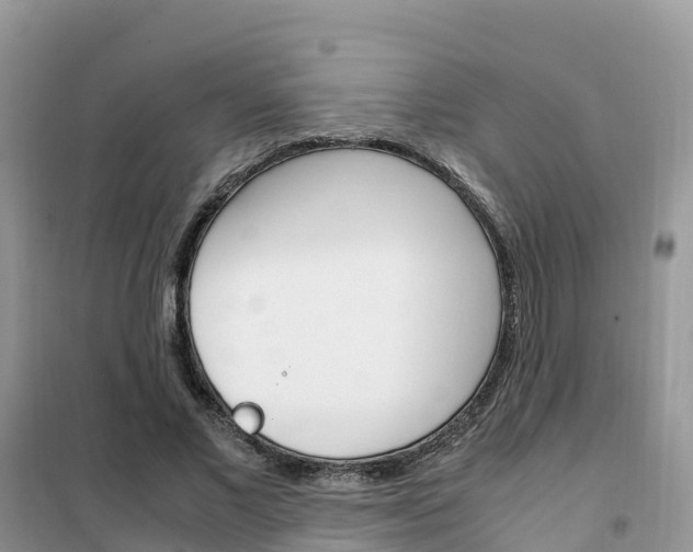 X0000102370685200808011024