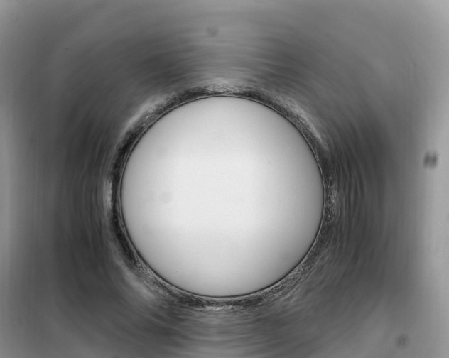 X0000102370686200808011024