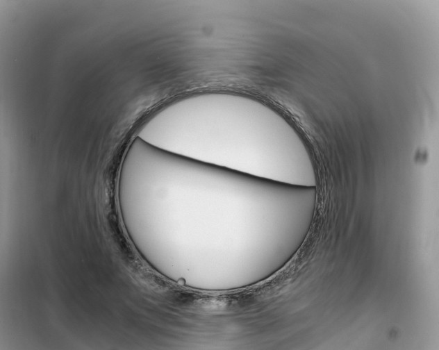 X0000102370687200808011024
